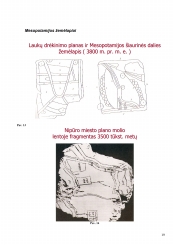 www.speros.lt